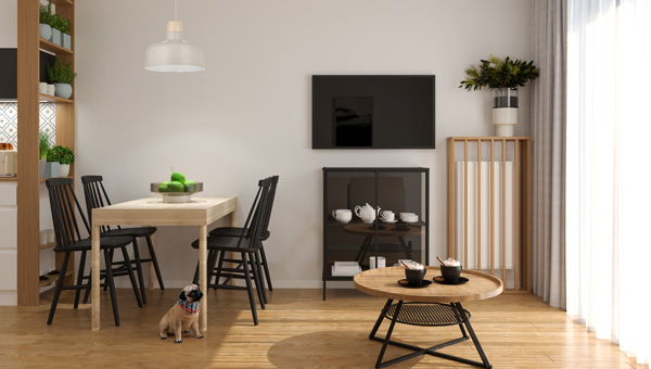 Mieszkanie dla dwojga z pieskiem